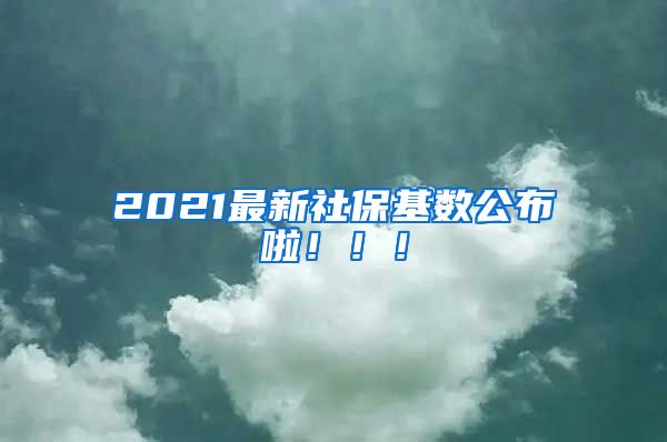 2021最新社保基数公布啦！！！