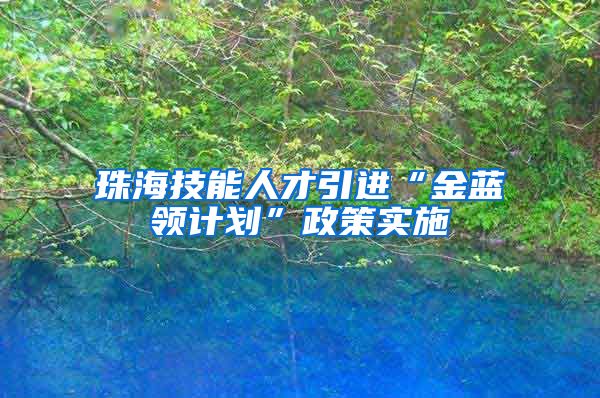 珠海技能人才引进“金蓝领计划”政策实施