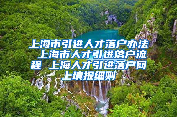 上海市引进人才落户办法 上海市人才引进落户流程 上海人才引进落户网上填报细则