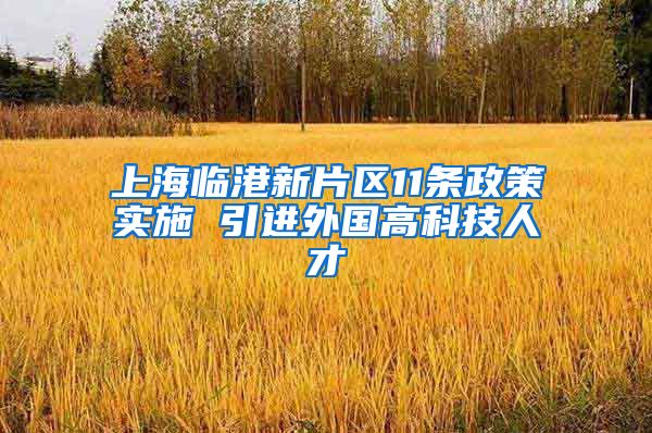 上海临港新片区11条政策实施 引进外国高科技人才