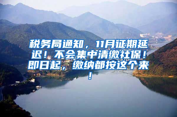 税务局通知，11月征期延迟！不会集中清缴社保！即日起，缴纳都按这个来！