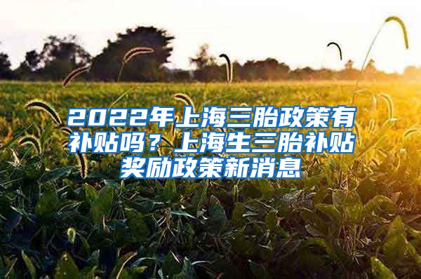 2022年上海三胎政策有补贴吗？上海生三胎补贴奖励政策新消息