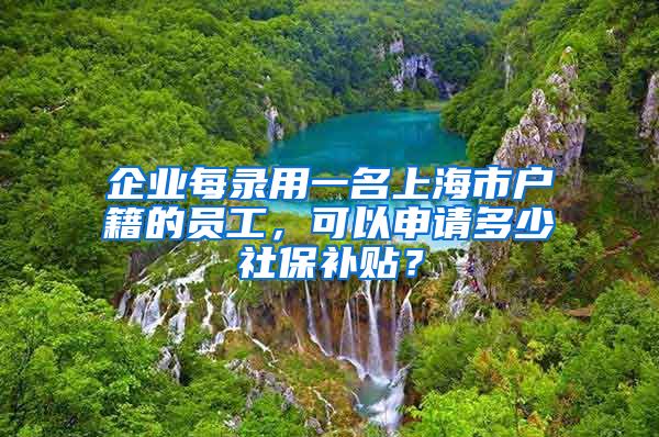 企业每录用一名上海市户籍的员工，可以申请多少社保补贴？