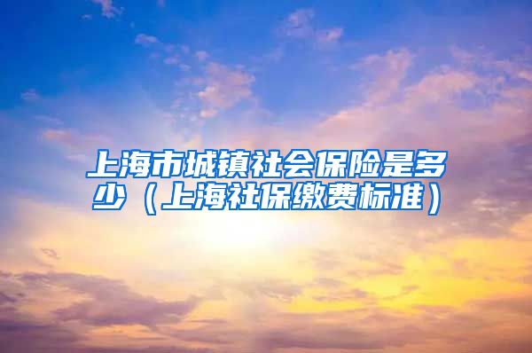 上海市城镇社会保险是多少（上海社保缴费标准）