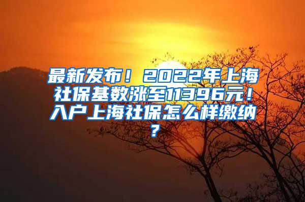 最新发布！2022年上海社保基数涨至11396元！入户上海社保怎么样缴纳？