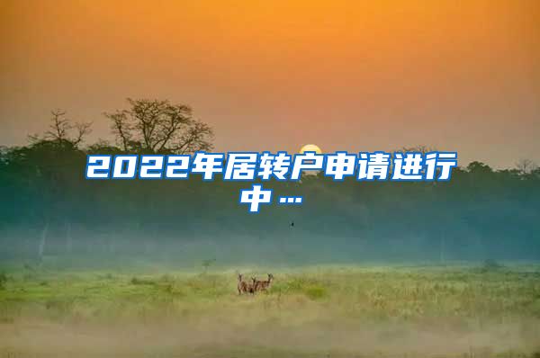 2022年居转户申请进行中…