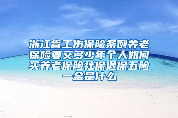 浙江省工伤保险条例养老保险要交多少年个人如何买养老保险社保退保五险一金是什么