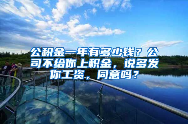 公积金一年有多少钱？公司不给你上积金，说多发你工资，同意吗？