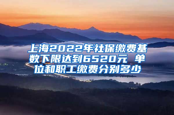 上海2022年社保缴费基数下限达到6520元 单位和职工缴费分别多少