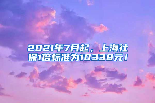 2021年7月起，上海社保1倍标准为10338元！