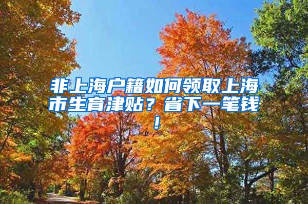 非上海户籍如何领取上海市生育津贴？省下一笔钱！