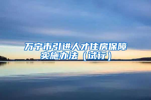 万宁市引进人才住房保障实施办法（试行）