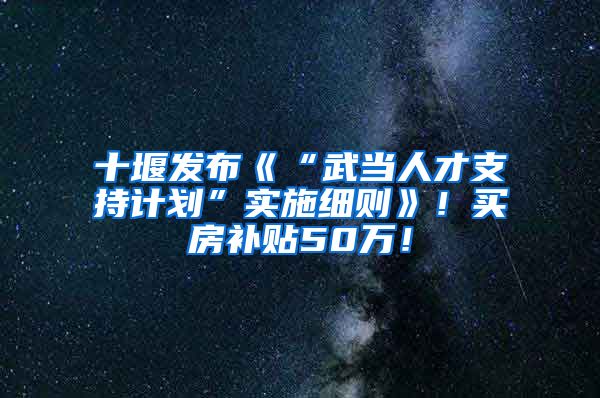 十堰发布《“武当人才支持计划”实施细则》！买房补贴50万！