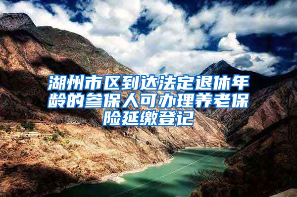 湖州市区到达法定退休年龄的参保人可办理养老保险延缴登记