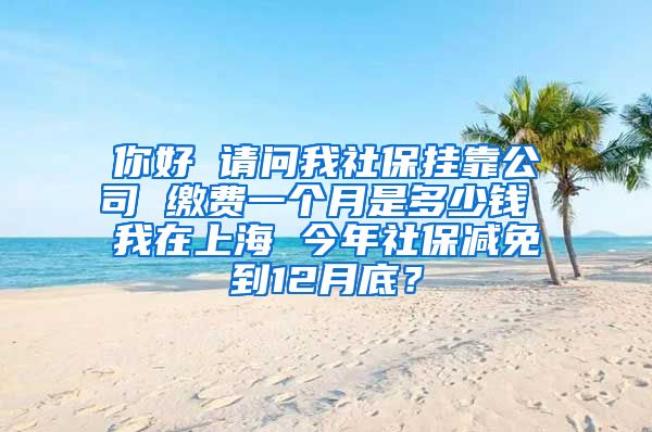 你好 请问我社保挂靠公司 缴费一个月是多少钱 我在上海 今年社保减免到12月底？