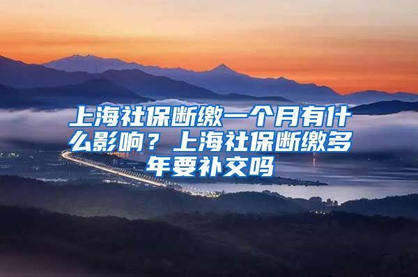 上海社保断缴一个月有什么影响？上海社保断缴多年要补交吗