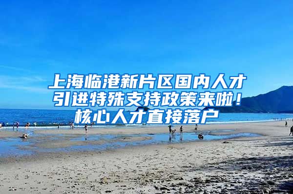 上海临港新片区国内人才引进特殊支持政策来啦！核心人才直接落户