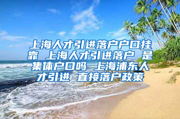 上海人才引进落户户口挂靠 上海人才引进落户 是集体户口吗 上海浦东人才引进 直接落户政策