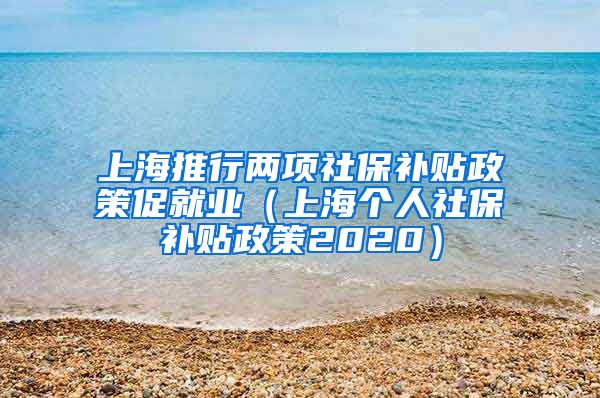 上海推行两项社保补贴政策促就业（上海个人社保补贴政策2020）