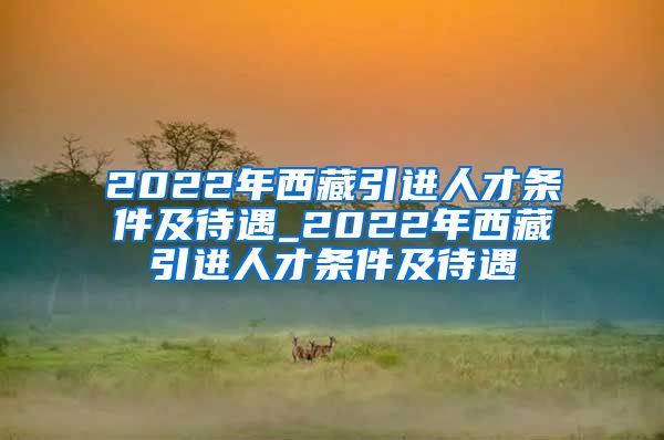 2022年西藏引进人才条件及待遇_2022年西藏引进人才条件及待遇