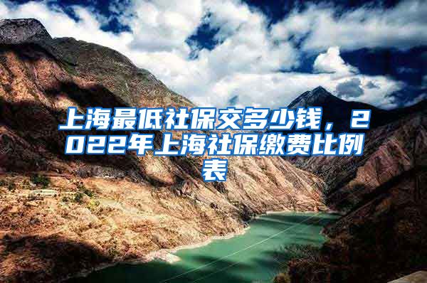 上海最低社保交多少钱，2022年上海社保缴费比例表