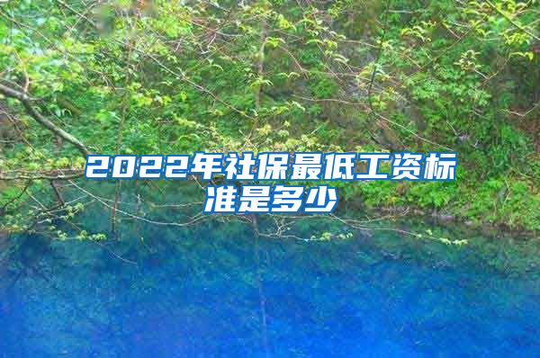 2022年社保最低工资标准是多少