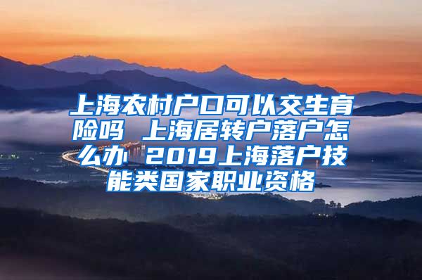 上海农村户口可以交生育险吗 上海居转户落户怎么办 2019上海落户技能类国家职业资格