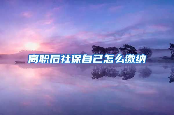 离职后社保自己怎么缴纳