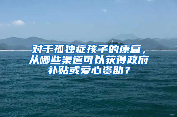 对于孤独症孩子的康复，从哪些渠道可以获得政府补贴或爱心资助？