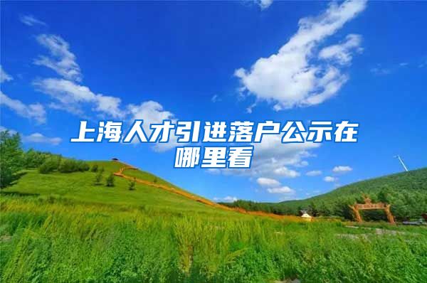 上海人才引进落户公示在哪里看