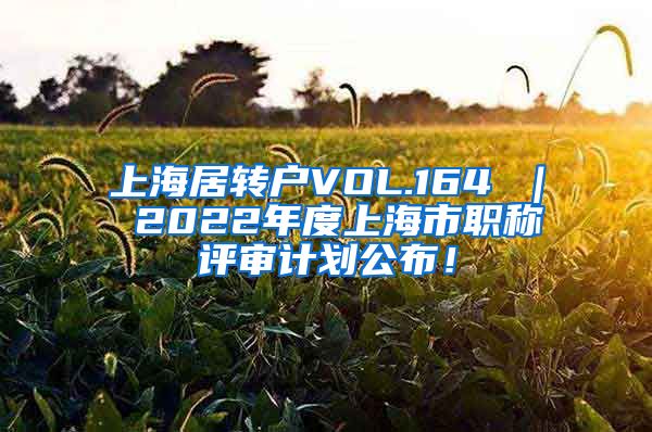 上海居转户VOL.164 ｜ 2022年度上海市职称评审计划公布！