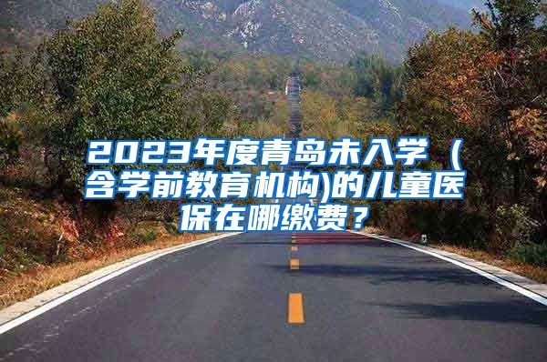 2023年度青岛未入学 (含学前教育机构)的儿童医保在哪缴费？