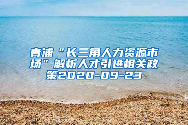 青浦“长三角人力资源市场”解析人才引进相关政策2020-09-23