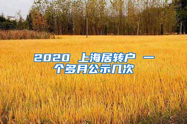 2020 上海居转户 一个多月公示几次