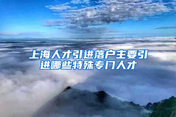 上海人才引进落户主要引进哪些特殊专门人才