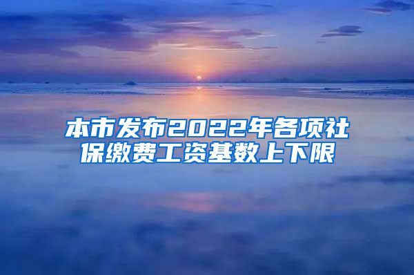 本市发布2022年各项社保缴费工资基数上下限