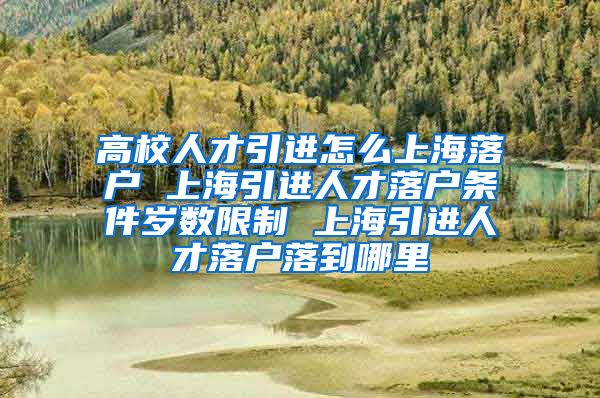 高校人才引进怎么上海落户 上海引进人才落户条件岁数限制 上海引进人才落户落到哪里