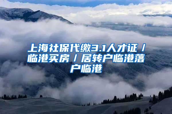 上海社保代缴3.1人才证／临港买房／居转户临港落户临港