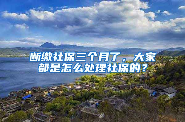 断缴社保三个月了，大家都是怎么处理社保的？