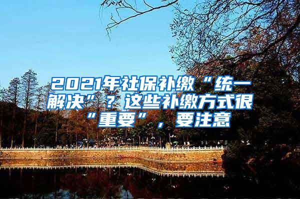 2021年社保补缴“统一解决”？这些补缴方式很“重要”，要注意