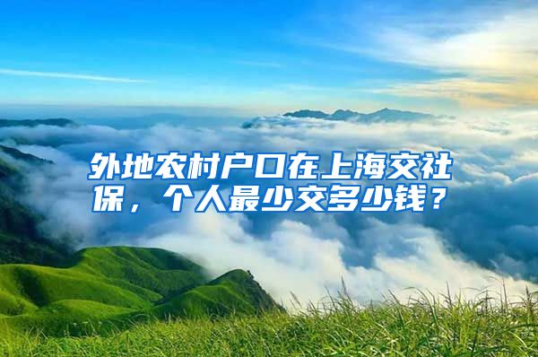 外地农村户口在上海交社保，个人最少交多少钱？