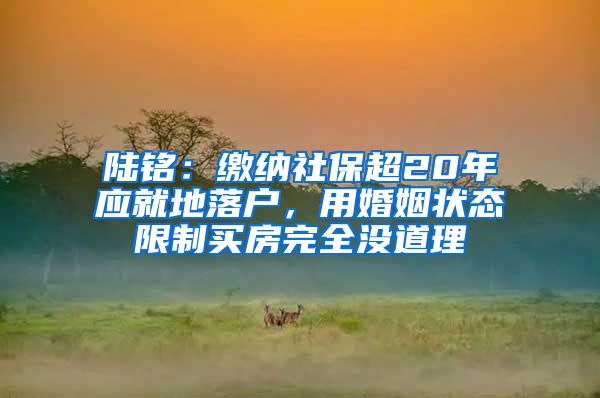 陆铭：缴纳社保超20年应就地落户，用婚姻状态限制买房完全没道理