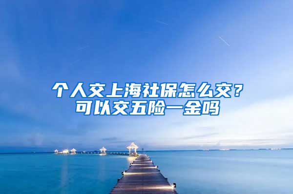 个人交上海社保怎么交？可以交五险一金吗