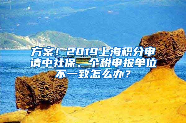 方案！2019上海积分申请中社保、个税申报单位不一致怎么办？