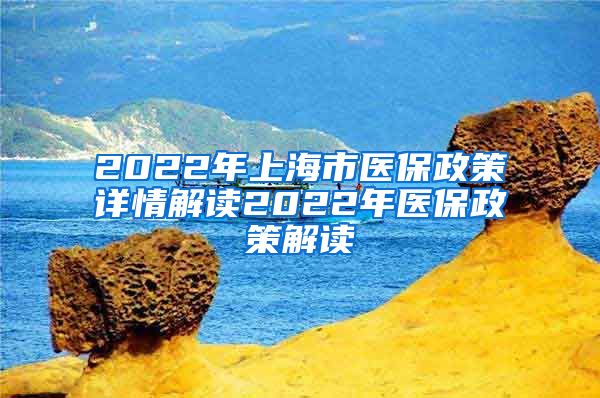 2022年上海市医保政策详情解读2022年医保政策解读