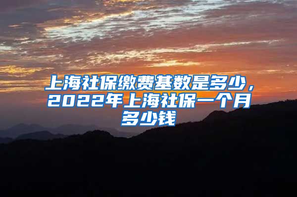 上海社保缴费基数是多少，2022年上海社保一个月多少钱