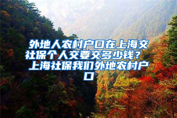 外地人农村户口在上海交社保个人交要交多少钱？ 上海社保我们外地农村户口