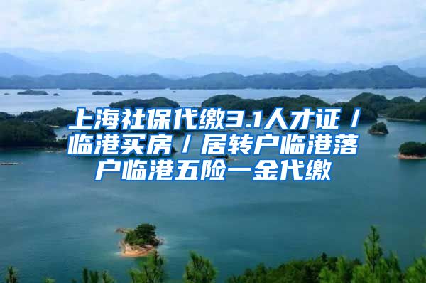 上海社保代缴3.1人才证／临港买房／居转户临港落户临港五险一金代缴