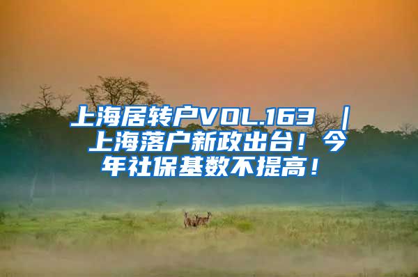 上海居转户VOL.163 ｜ 上海落户新政出台！今年社保基数不提高！