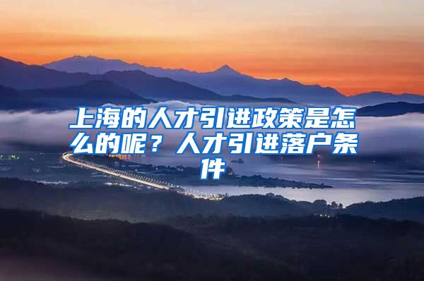 上海的人才引进政策是怎么的呢？人才引进落户条件